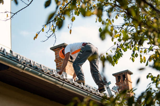 Best Roof Waterproofing Services  in Roanoke, IN